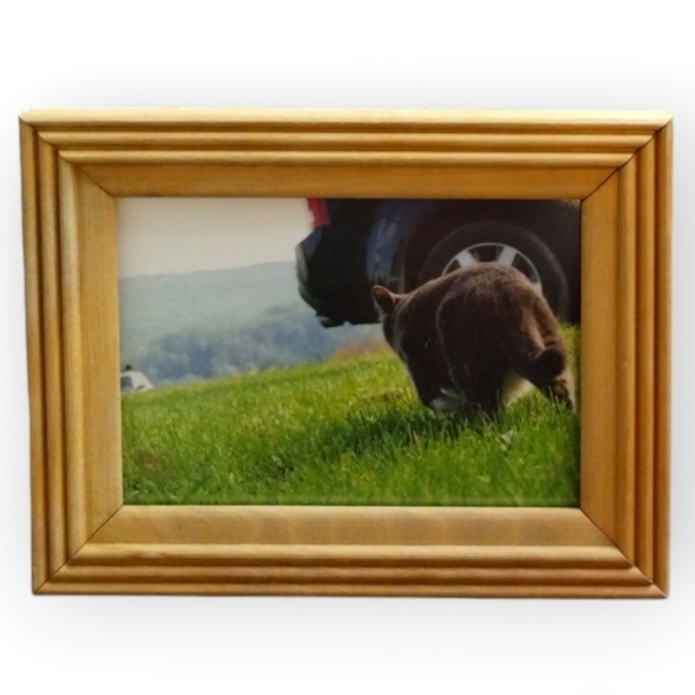 Original Art Photography Cat March Vintage Wood Frame